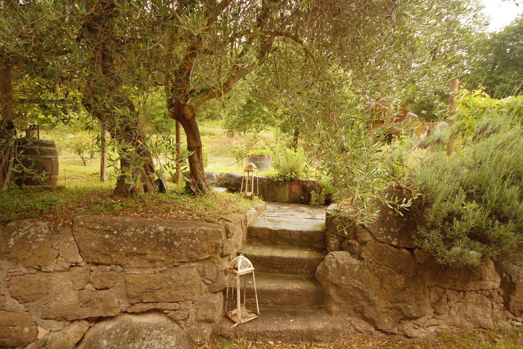 Podere CamininoPieve Di Caminino Historic Farm别墅 外观 照片