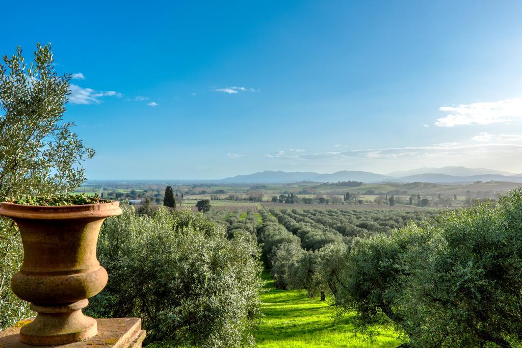 Podere CamininoPieve Di Caminino Historic Farm别墅 外观 照片